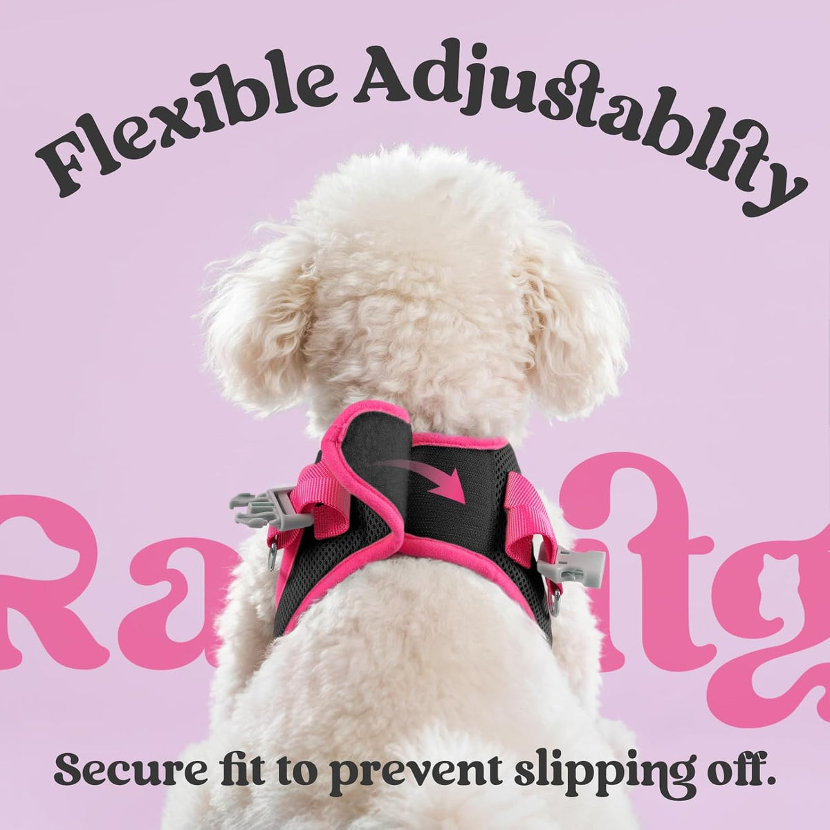 rabbitgoo Dog Harness Small Sized and Leash Set, Step-in Breathable Pet Harness, Soft Walking Reflective Puppy Vest for Small Dogs, Black & Rose Red, M