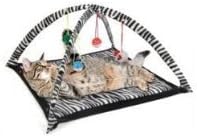 Cat Activity Center