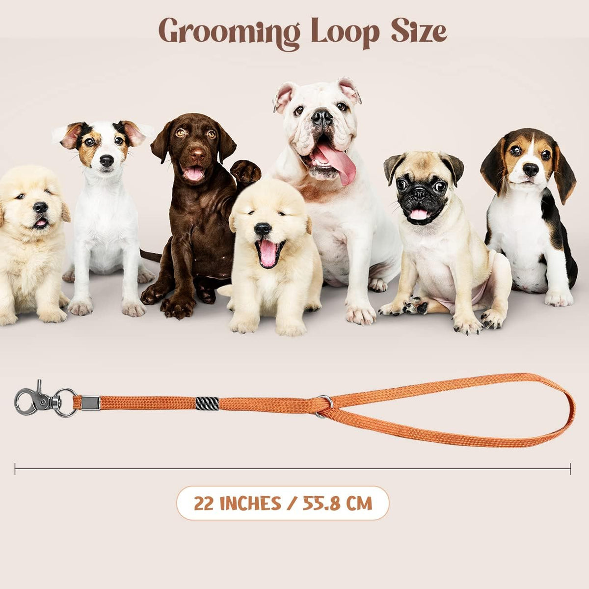 Pet Grooming Loop for Dogs - Nylon Restraint Noose Adjustable Slip Rope Dog Grooming Supplies for Dog Grooming Arm and Pet Grooming Table - 3 Pack
