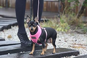 Puppia Soft Dog Harness No Choke Over-The-Head Triple Layered Breathable Mesh Adjustable Chest Belt and Quick-Release Buckle, Purple, XX-Large