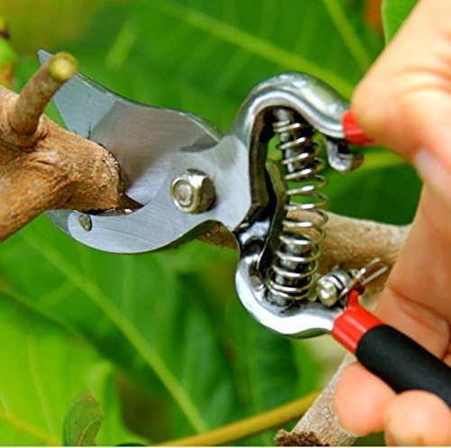 GARDEN GURU Classic Bypass Pruning Shears Clippers ??Heavy Duty Forged Steel Garden Pruners ??Safety Lock ??Non Slip Comfort Grips ??Cuts up to 1??Diameter ??Professional Bypass Pruners for Gardening