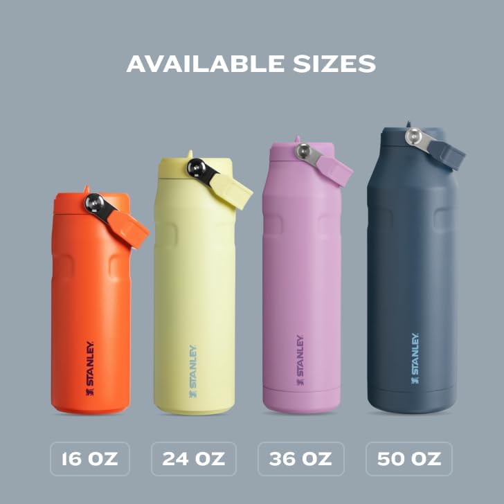Stanley IceFlow 2.0 Water Bottle - 36 OZ Insulated Stainless Steel | Lightweight, Leak-Resistant & BPA-Free | Plum