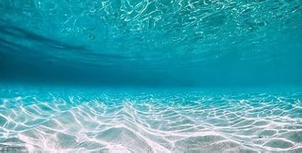 30X18IN Natural Undersea Aquarium Background, Undersea Beach Fish Tank Background, with 8 EVA Double-Sided Tape