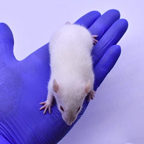 MiceDirect 80 Frozen Rat Combo Pack 40 Rat Weanlings and 40 Rat Small Feeders Snake Food for Juvenile Ball Pythons and Monitors (3.5-6 in)(Pack of 80)(3000 Grams Min)