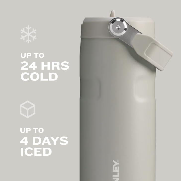 Stanley IceFlow 2.0 Water Bottle - 24 OZ Insulated Stainless Steel | Lightweight, Leak-Resistant & BPA-Free | Plum