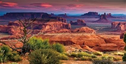 36X18IN Desert Loess Rock Cactus Oasis Reptile Habitat Background, Natural Sunset Desert Themed Terrarium Background, Aquarium Background with 10 EVA Double-Sided Tape