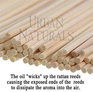 Urban Naturals Lavender Fields Oil Essential Oil Reed Diffuser Set with Real Lavender Stems! French Blossoms, Geranium & Clary Sage | #1 Gift Idea for Aromatherapy & Stress Relief | Vegan | USA Made