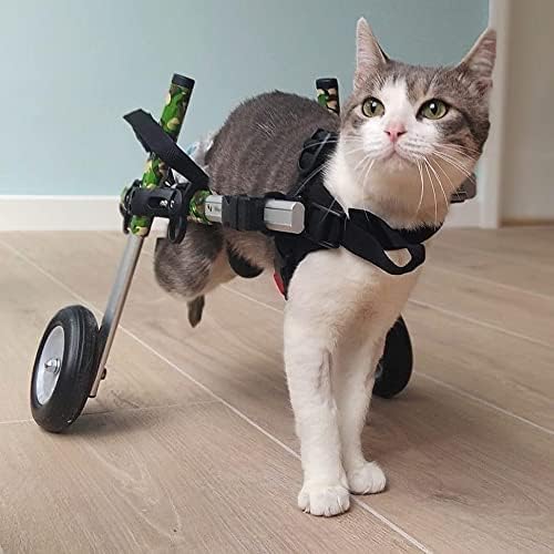 Walkin' Wheels Lightweight – for Small Cats 2 to 20 Pounds – Veterinarian Approved – Cat Wheelchair for Back Legs, for Cats 11-20 lbs, 9-13 inches Leg Height – Seafoam