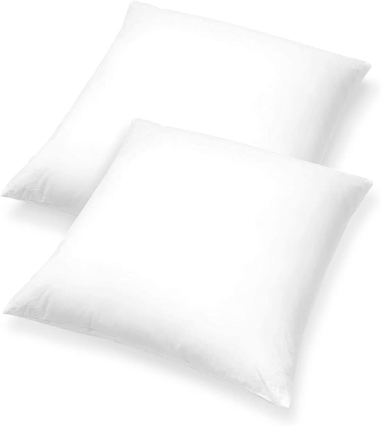 Pillow Inserts - Pack of 2-22" x 22" Square Decorative Throw or Sham for Couch - Bed - Sofa