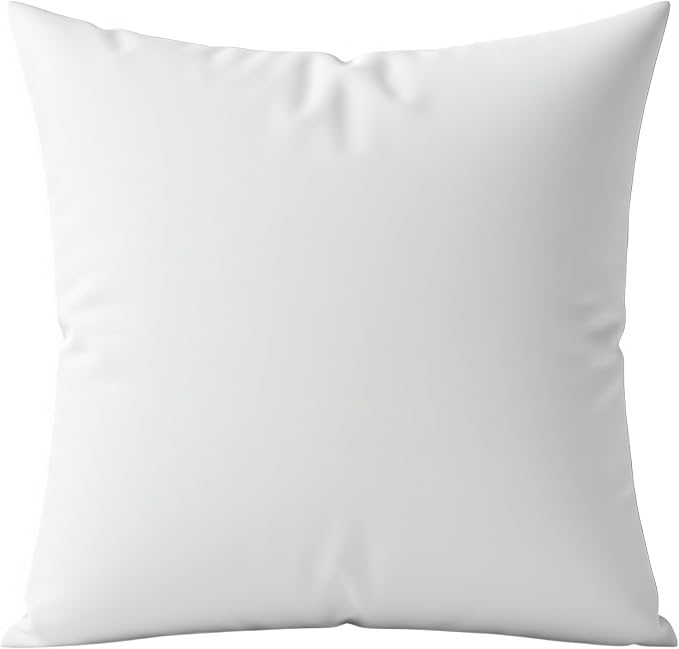 Digital Decor Decorative Throw Pillow Insert 22x22, Premium Down Alternative Hypoallergenic Pillow Form for Couch, Sofa & Bed, Made in USA Square Cushion Insert, White, 1 Pack