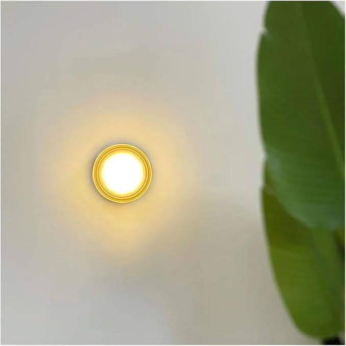 Modern LED Wall Lamp - Amber Jelly Decor Sconces for Living Room, Dining Room, Corridor & Study - Smokey Grey Fixture, Stylish Home Lighting & Decor