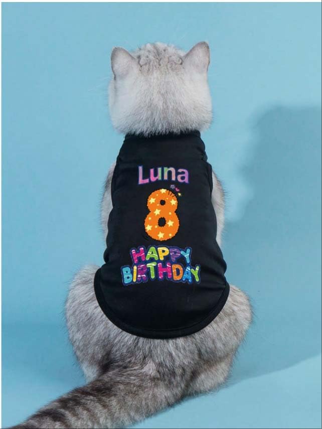 Custom Dog Birthday Shirt,Personalized Pet Apparel Print with Name Age Number,Pet Birthday Outfit,Lightweight Breathable Cotton Vest for Small Medium Large Dogs Cat (Blue, Large)