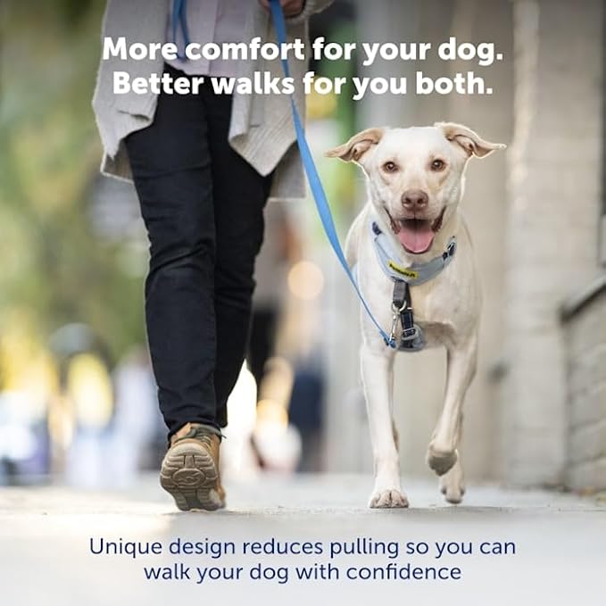 PetSafe Easy Walk Comfort No-Pull Dog Harness - Better Walk Training Harness - Full Body Padded Design - Durable Fabric - 5 Point Adjustable Fit - Everyday Leash Training - Blue - Medium/Large