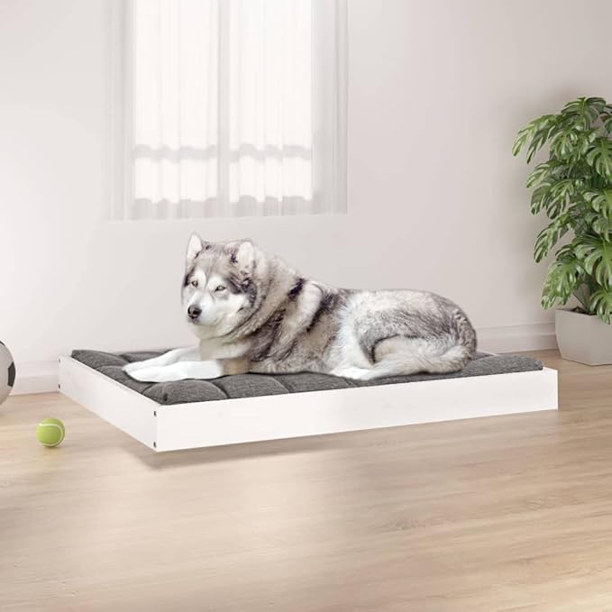 Elevated Dog Bed with Solid Pine Wood Frame, Orthopedic Support for Medium Breeds, Easy-Clean White Finish, Durable Pet Furniture for Indoor Use