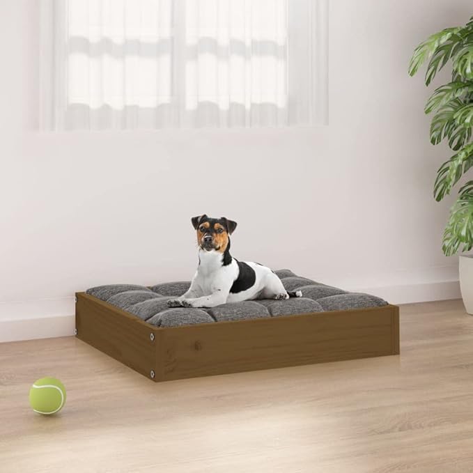 Solid Pine Wood Dog Bed for Small Dogs, Minimalist Rectangular Pet Sleeping Cot, Durable Raised Dog Bed Frame, Honey Brown Finish, 20.3 x 17.3 x 3.5 Inches