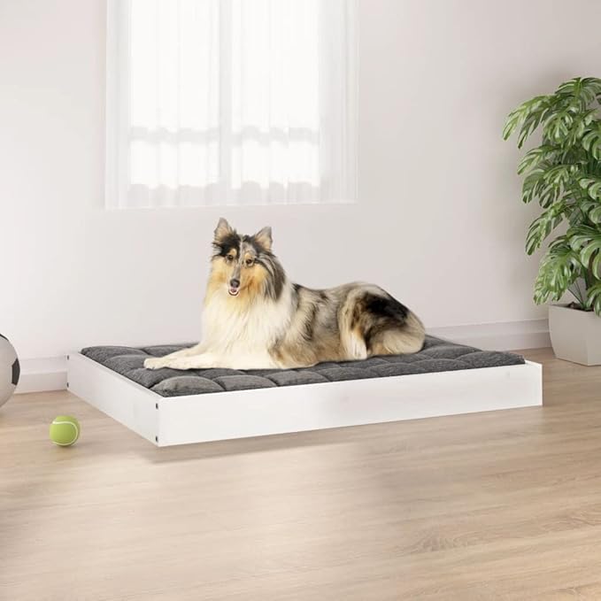 White Solid Pine Wood Dog Bed 36x25.2x3.5 Inch Large Pet Sofa for Medium Dogs, Rustic Minimalist Raised Dog Bed Frame with Sturdy Design for Living Room & Bedroom