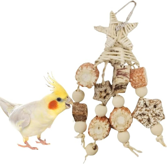 Bird Toys, Chewing for Parrot, Natural Nut Hanging for Parakeet,Lovebirds,Finch,Cockatiel, Conure, Quaker (B)