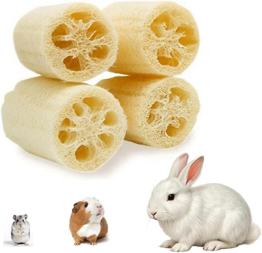 4Pcs Bunny Chew Toys for Rabbit, Organic Natural Loofah Toys.Suitable for Small Animals Such as Rabbits, Guinea Pigs and Hamsters.