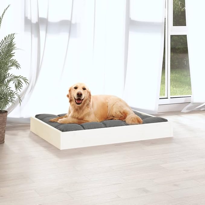 Solid Pine Wood Dog Bed 28.1 x 21.3 in White Minimalist Design for Small Dogs Indoor Pet Furniture with Durable Frame and Comfortable Spot