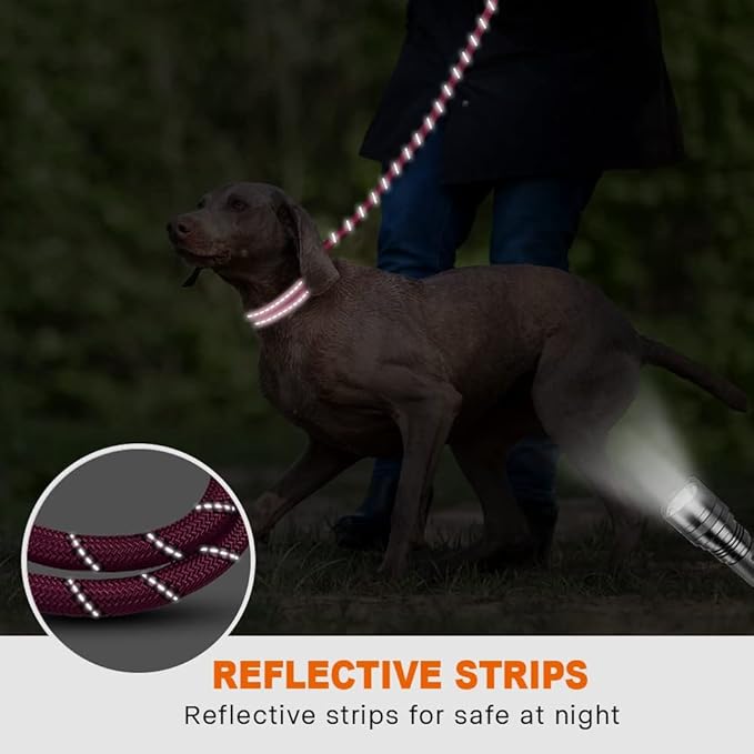 Taglory Rope Dog Leash 6 FT with Comfortable Padded Handle, Highly Reflective Threads Leash and Anti-Tangle Clip for Walking Medium Large Dogs, 1/2 inch, Hotpink