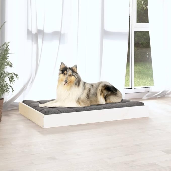 Modern Medium Dog Bed, Solid Pine Wood Elevated Pet Bed Frame, Minimalist Rectangular Sleeping Cot for Living Room, Sturdy Wooden Pet Furniture, White