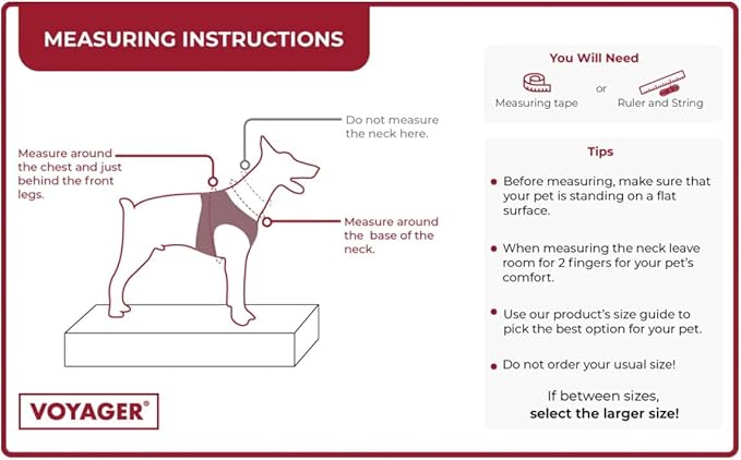 Best Pet Supplies Voyager Adjustable Step-in Flex Breathable Mesh Dog Harness for Small Medium Large Dogs Leash Set (Pink), L
