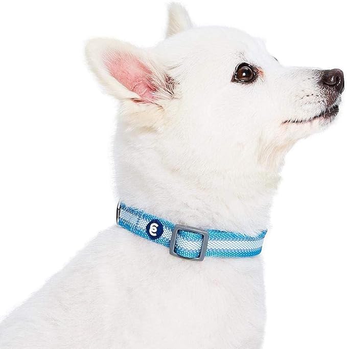 Blueberry Pet Essentials Matching Large Dog Collar | Adjustable Classic Solid Color Nylon Dog Collars for Large Dogs | Reflective Sky Blue Dog Collar for Large Dogs