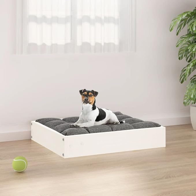 White Solid Pine Wood Dog Bed 20.3x17.3x3.5 Inch - Sturdy Minimalist Pet Sofa for Small Medium Dogs Rustic Raised Dog Crate with Stable Frame - Easy Assembly Indoor Outdoor Use