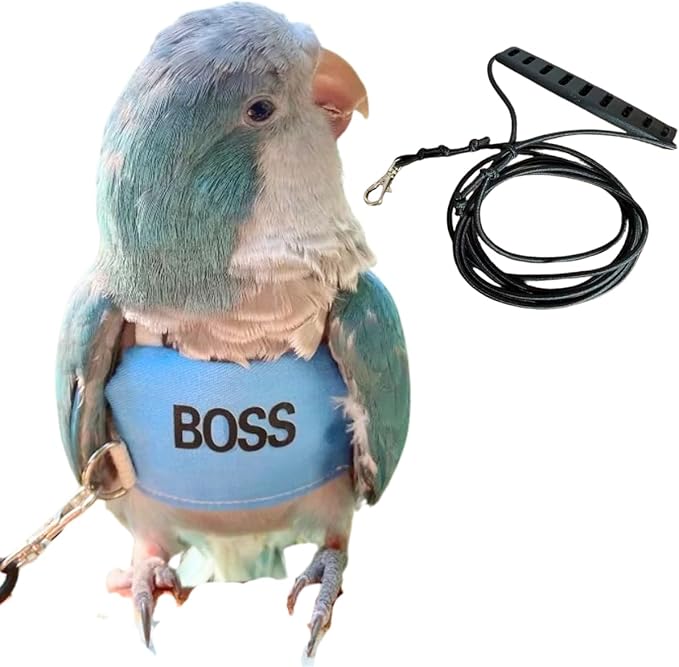 Bird Flight Harness Vest, Parrot Flight Suit with Leash, Bird Flying Clothes with Rope and Handle for Outdoor Activities (L)