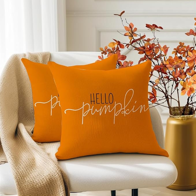 RABUSOFA Fall Pillow Covers 16x16 Inch,Autumn Hello Pumpkin Pillows Decorative Throw Pillows,Outdoor Thanksgiving Cushion Cover Farmhosue Fall Decor for Bedroom Couch Sofa