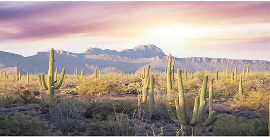 AWERT Reptile Habitat Background Blue Sky Oasis Mountain Cactus Sun and Desert Terrarium Background 48x24 inches