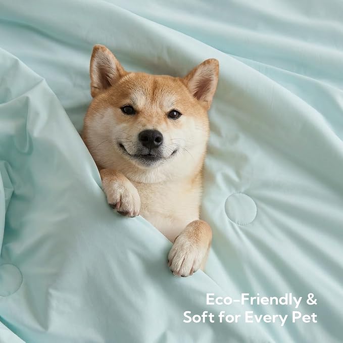 Soulbond Cooling Blanket for Medium Dogs - Q-MAX>0.45, Washable Cool Pet Cats Throw Blanket for Hot Weather, Self-Cooling Soft Dog Mat for Bed Crates Couch Sofa Cars(29"x40", Aqua Green)