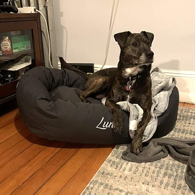 Majestic Pet Personalized 40 Inch Bagel Calming Dog Bed Washable – Cozy Soft Round Dog Bed with Spine Support for Dogs to Rest Their Head - Fluffy Donut Dog Bed 40x29x9 (Inch) - Large – Black