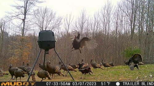 Muddy Mitigator Cellular 24MP Imaging Trail Camera with 80 Feet Detection and Flash Range and 0.7-Second Trigger Speed