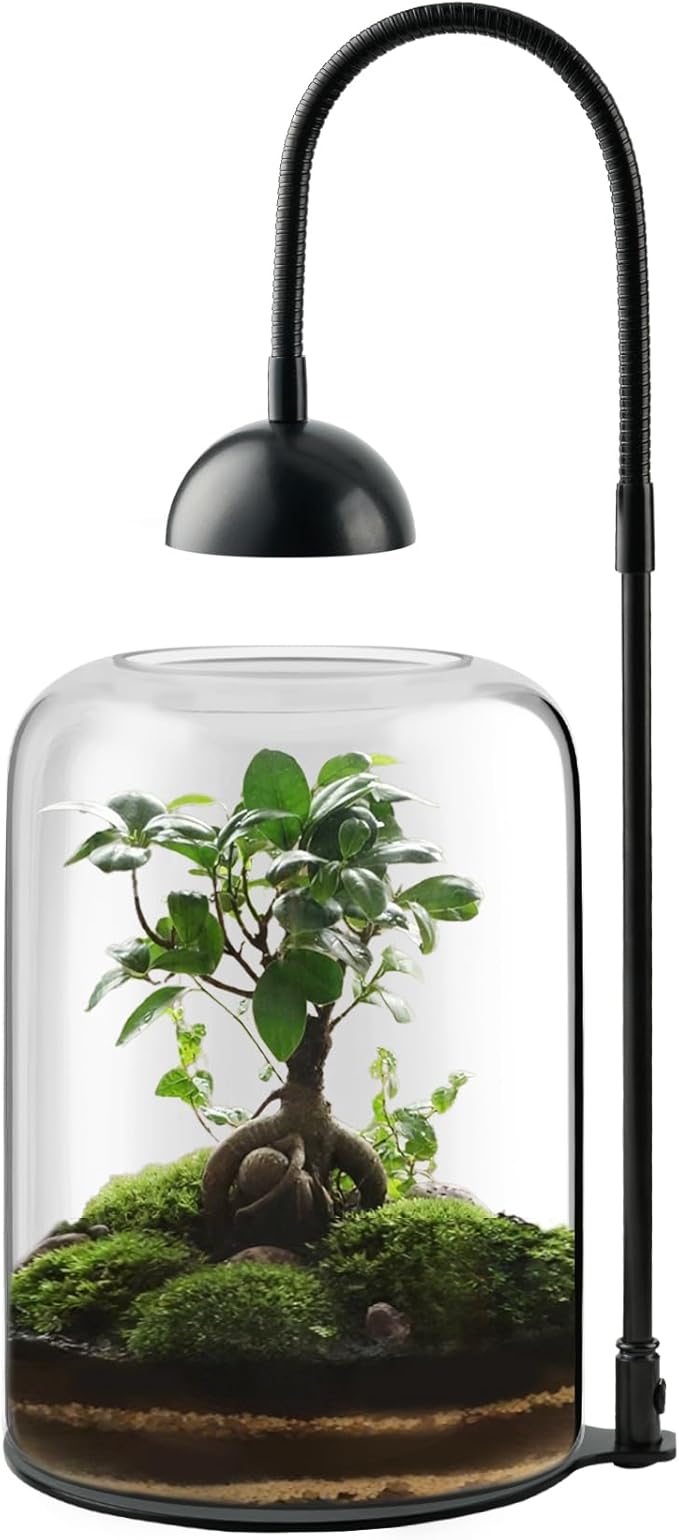 Glass Plant Terrarium with LED Grow Light & Adjustable Ventilation, 8.2" Desktop Terrarium for Venus Fly Trap, Moss & Succulents, Borosilicate Indoor Planter for Home Office Decor