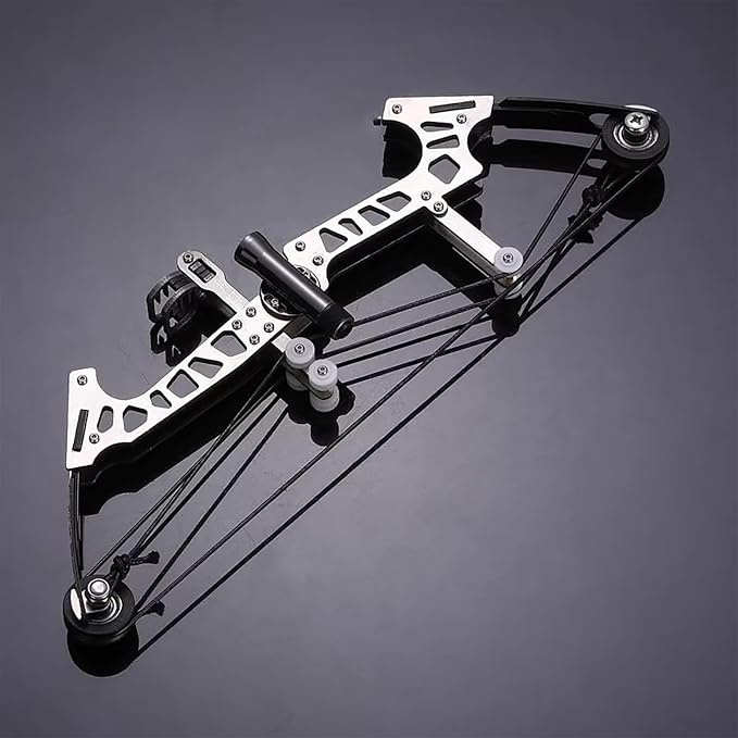 Archery Bow Set Left and Right Hand Compound Bow Hunting Bow Metal Material Catapult RH/LH for Practice Archery