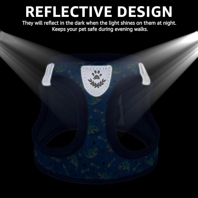 SCENEREAL Small Dog Harness and Leash Collar Set, Step in Soft Light Puppy Vest, Breathable Pet Harness for Small Sized Dogs, No Chock Reflective for Safe Outdoor Walking, Blue Shark M