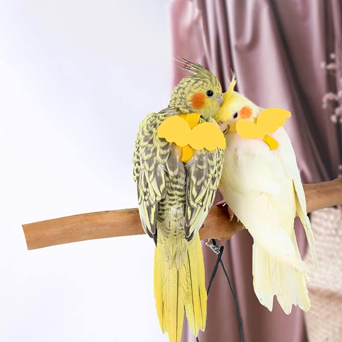 Dnoifne Pet Parrot Bird Harness and Leash, Adjustable Training Design Anti-Bite, Bird Nylon Rope with Cute Wing for Parrots, Suitable for Scarlet, Keck, Mini Macaw and Same Size Birds (Yellow)
