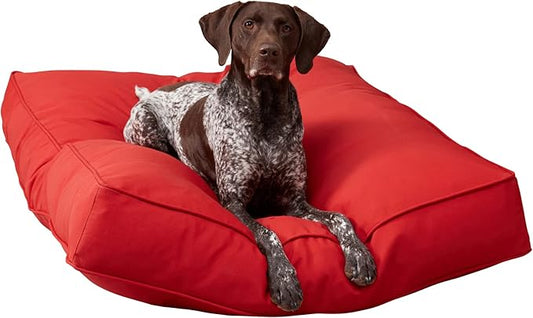 Casey Large (48 x 36 in.) Salsa Rectangle Indoor/Outdoor Pillow Style Dog Bed