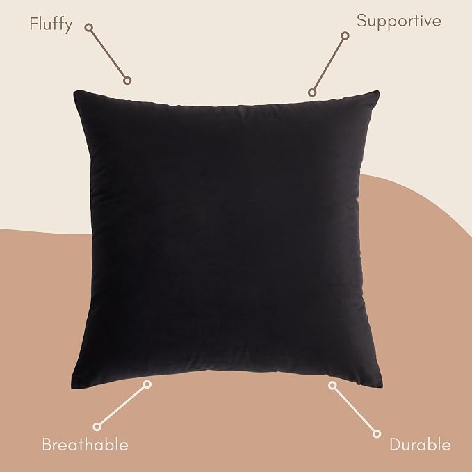 Solid Color Velvet Throw Pillow with Insert Included (Black, 20"x20"),Decorative Pillow for Sofa, Couch, Bed, Chair Cushion