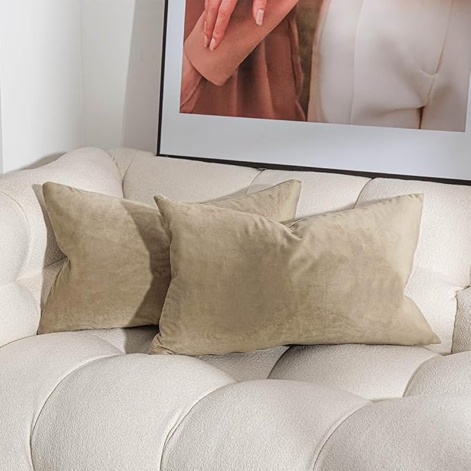 20x20 Throw Pillow Covers Set of 2 Decorative Velvet Cushion Covers,Stone | Soft Pillow Cases with Invisible Zipper for Modern Couch Sofa Bed Living Room Bedroom Home Decor