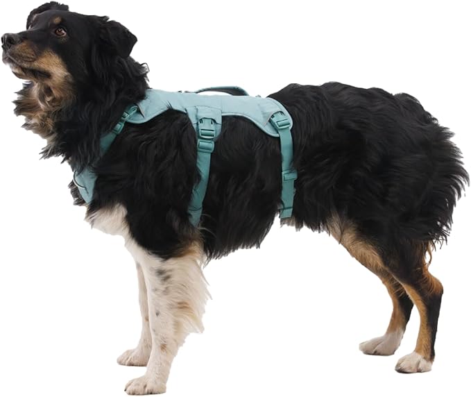 Ruffwear, Web Master, Multi-Use Support Dog Harness, Hiking and Trail Running, Service and Working, Everyday Wear, Basalt Gray, X-Small