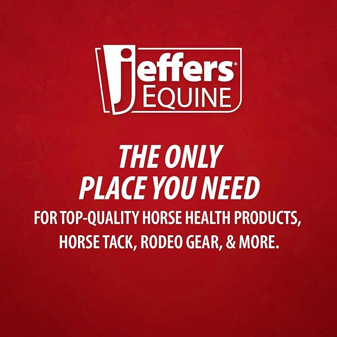 Jeffers Expression Protective Horse Boots 1 Pair, Party Cheetah- Safe Neoprene Leg Guards, Comfortable Fit, Durable Strap Closures, Front & Hind Support, Accessories for Travel & Riding - Large