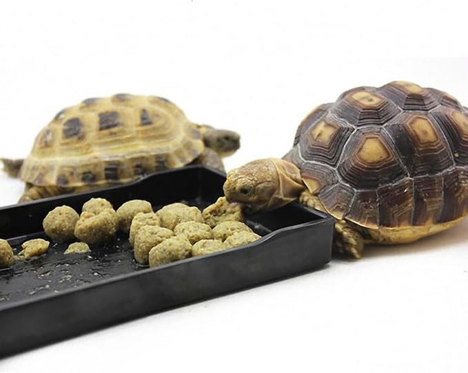 OMEM Reptile Bowl Large Food and Water Dish Enough Space Also Fit for Bath Simulated Wood Grain Surface (XL, Black)