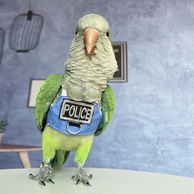 Bird Flight Harness Vest, Parrot Flight Suit with Leash, Bird Flying Clothes with Rope and Handle for Outdoor Activities (Without Leash,Blue Quaker)