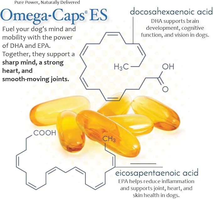 Omega Caps ES Extra Strength for Large and Giant Dogs Omega-3 and Omega-6 Fatty Acid Antioxidant Supplement Vet Formulated Made in USA Skin Coat Joint Heart and Immune Health 60 Softgel Capsules
