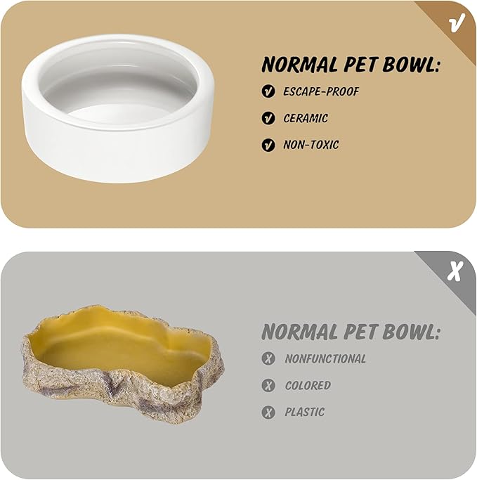 Worm Dish - Large 2 Pcs Reptile Food & Water Bowl for Lizard, Gecko, Chameleon, Hermit Crab, Bearded Dragon & More - Ceramic Anti-Escape Mini Reptile Feeder