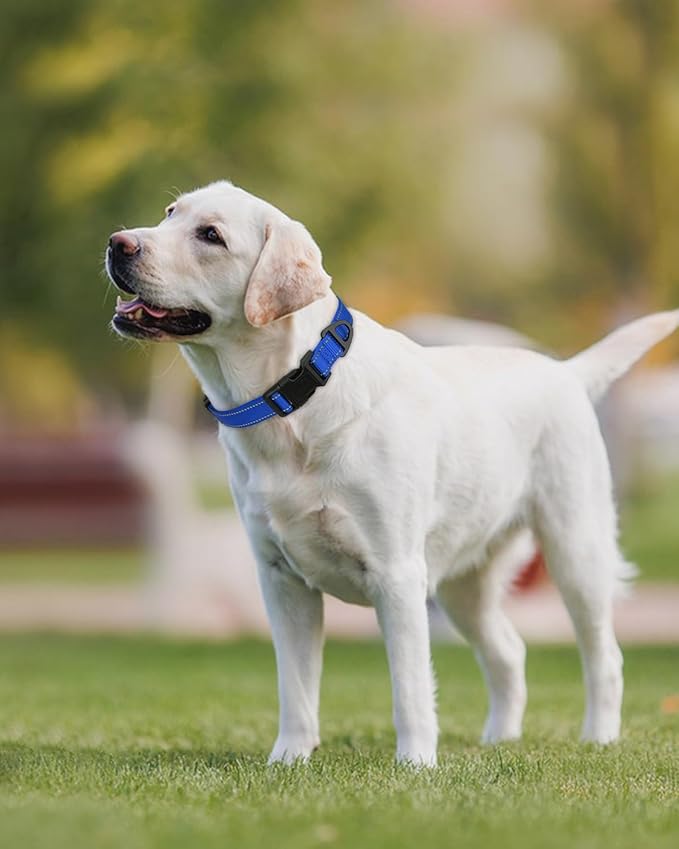 Joytale Large Dog Collar, Reflective and Adjustable Nylon Pet Collar with Quick-Release Buckle for Large Dogs, Navy Blue, L