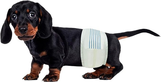 BV Dog Diapers Male Small (Waist 12-19in) Super Absorbent - 50 Count Disposable - Doggie Diapers with Wetness Indicator - Adjustable Male Dog Wraps - Ideal for Incontinence/Training