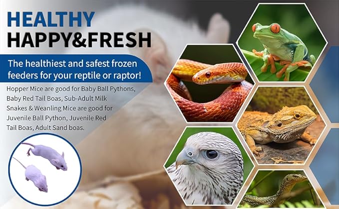 MiceDirect 150 Frozen Mice Combo Pack of 75 Hoppers and 75 Weanling Feeders Snake Food for Juvenile Ball Python Adult Milk Corns (1.5-2.5 in)(Pack of 150)(1500 Grams Min)